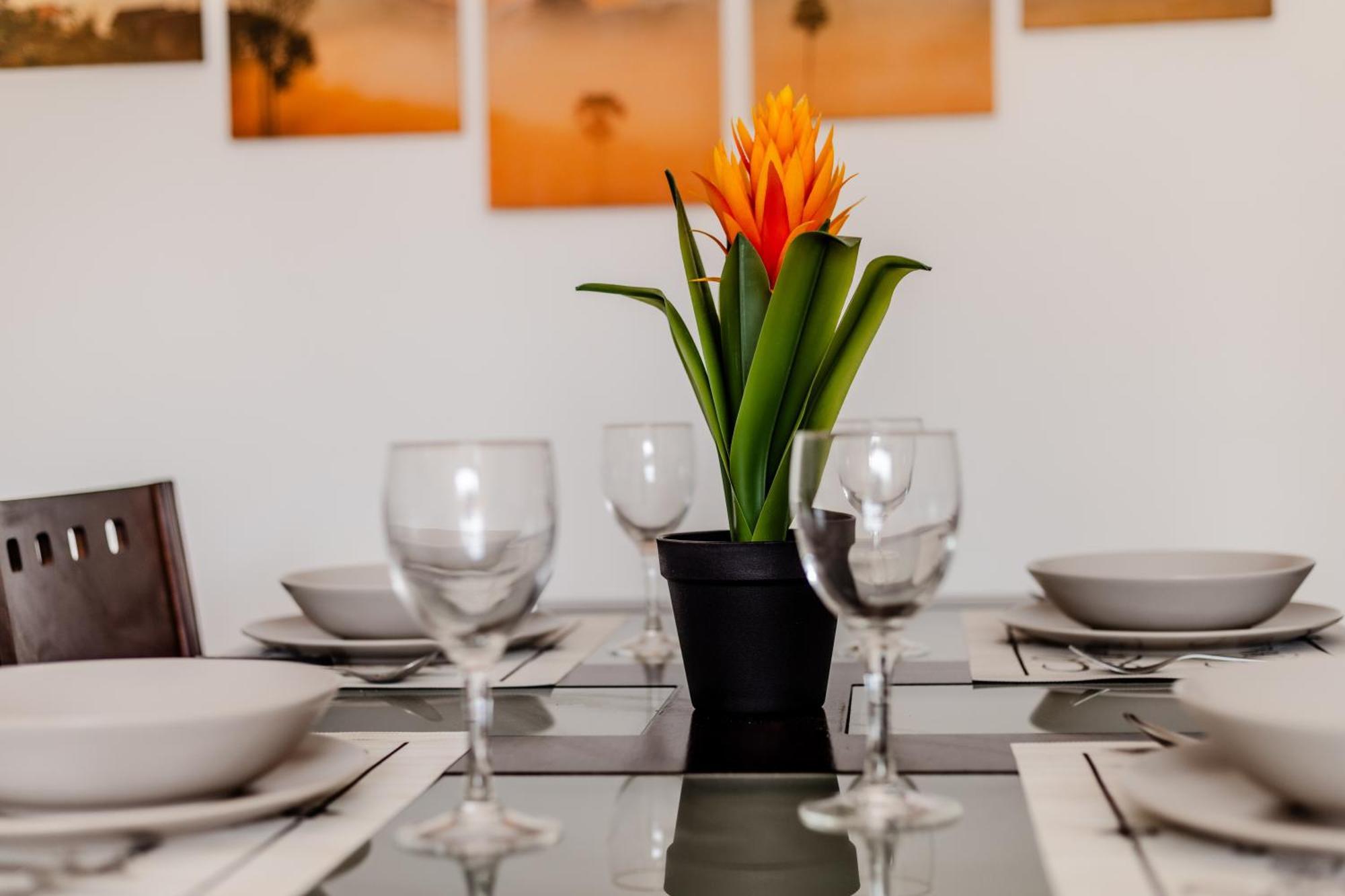 Mambo Palm-Mar Apartment Buitenkant foto